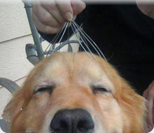 Load image into Gallery viewer, Indie Head Scalp Massager Tool