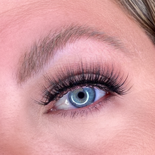 Load image into Gallery viewer, ‘Blink & Brow’ Magnetic Lash Kit