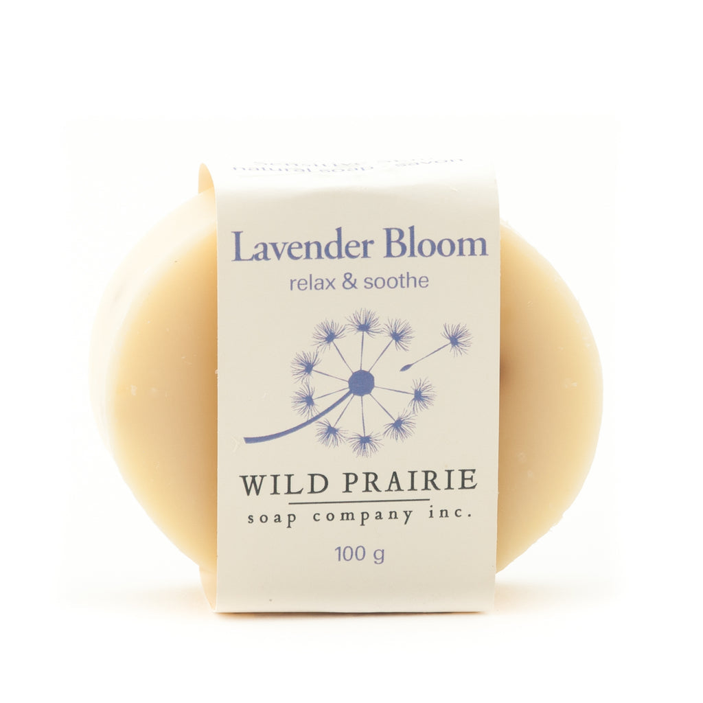 Lavender Bloom Body & Shampoo Bar by Wild Prairie